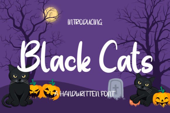 Black Cats Font Review