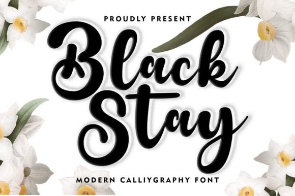 Black Stay: A Bold Script for Modern Brand Identity