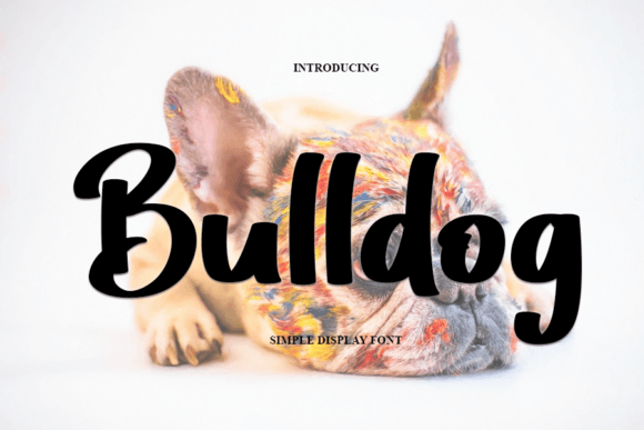 Bulldog: A Font That Elevates Your Brand