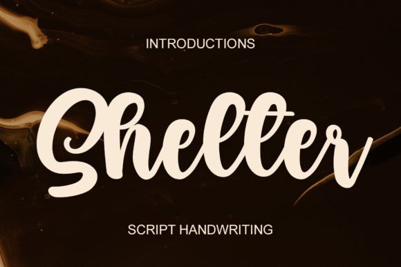 Shelter: A Font That Elevates Your Brand